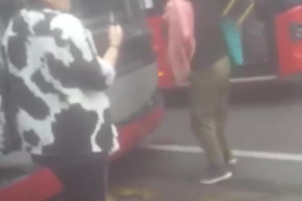 DRAMA U ZEMUNU! Žena blokirala autobus i udarala šakama u ŠOFERŠAJBNU! (VIDEO)