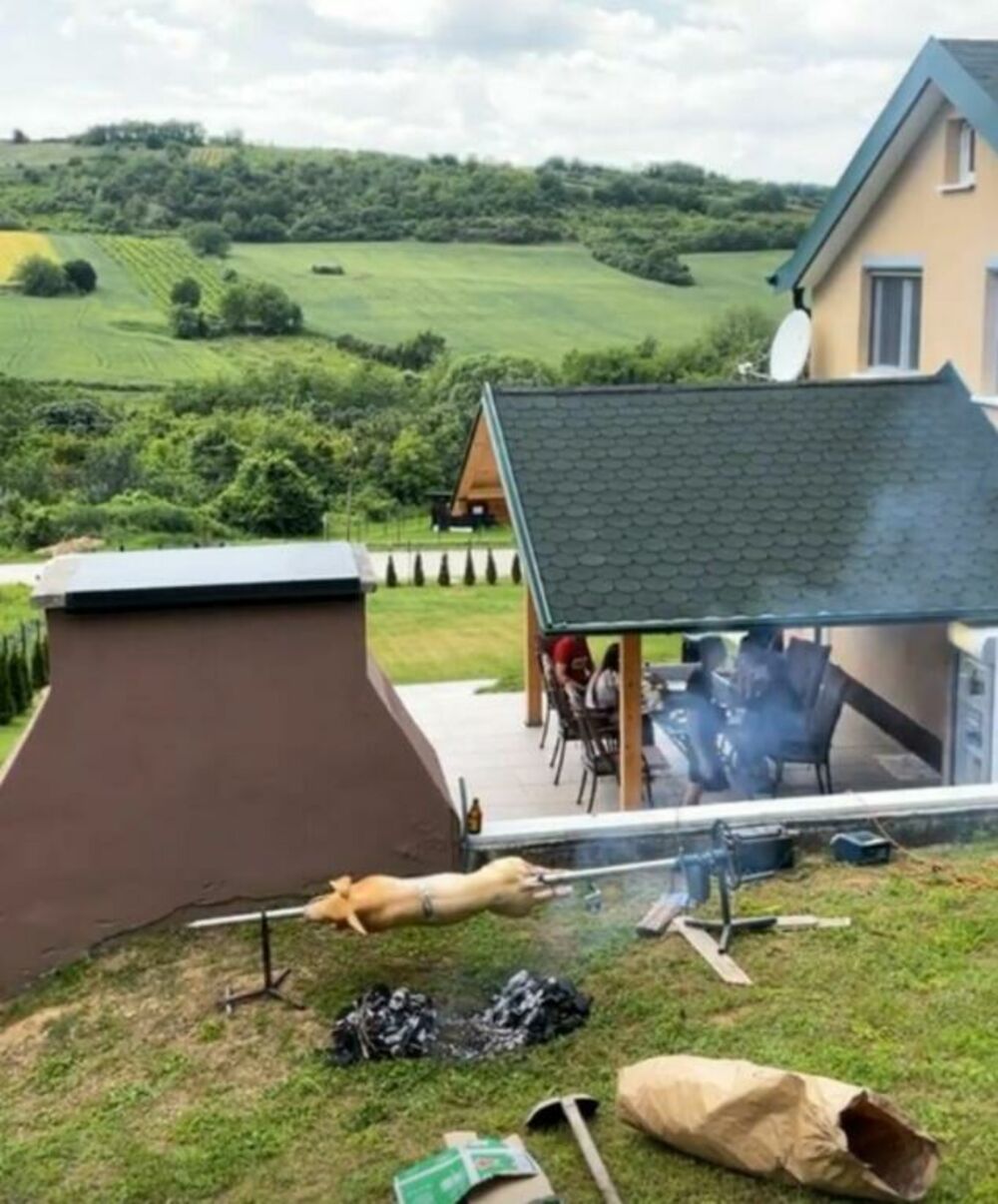 Kuća Srđana Plavšića