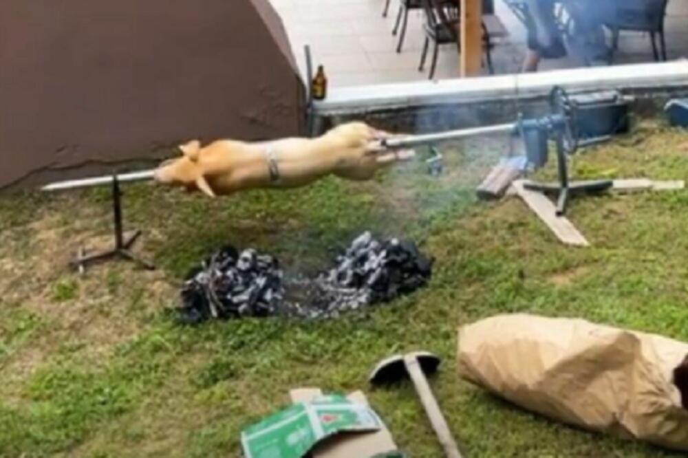 BIVŠI FUDBALER ZVEZDE OKRENUO PRASE: Proslavio useljenje u kuću iz snova kao pravi SRBENDA!