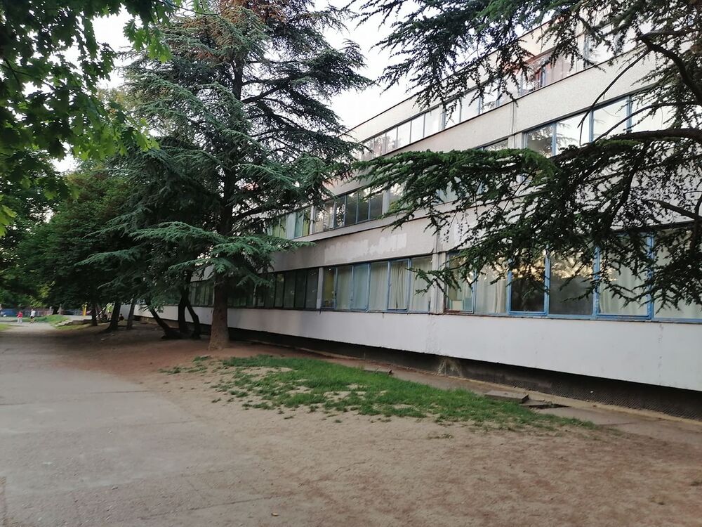 Škola / Ilustracija