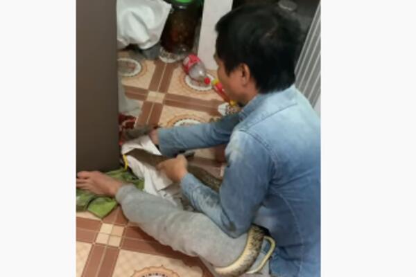 STAVLJAO JE VEŠ NA PRANJE A ONDA JE UGLEDAO MONSTRUMA: Ovaj susret nikada neće zaboraviti (VIDEO)