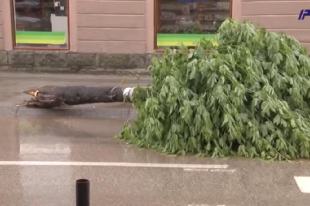 NEOČEKIVANO NEVREME U VRANJU IZAZVALO POTOP: Oluja i vetar RUŠILI drveće (VIDEO)