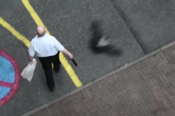 "TO JE BILA PRAVA BORBA"! VRANE U ZAGREBU NE POSUSTAJU: Na meti se jutros našao deka, jedva se odbranio! (VIDEO)
