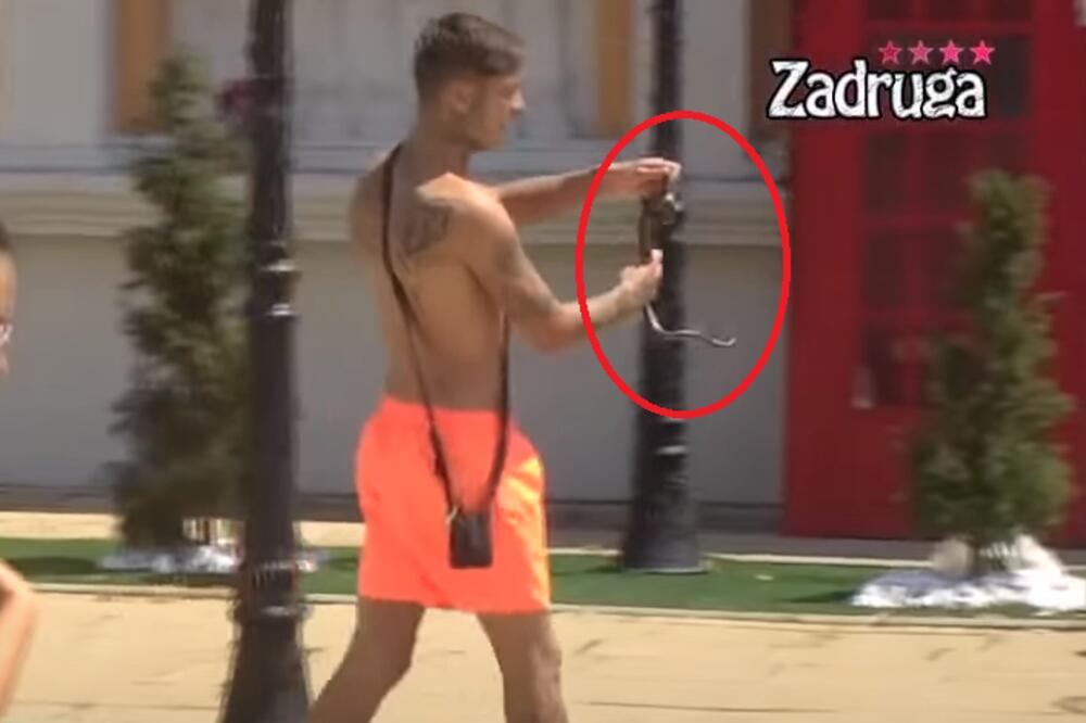 ZMIJA SE UŠUNJALA U ZADRUGU: Jedan takmičar je ščepao za glavu pa nosio po imanju, ostali IZBEZUMLJENO BEŽALI!