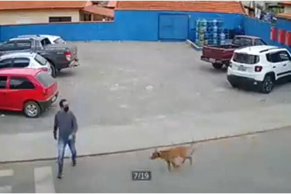 NEZGODA NA PEŠAČKOM PRELAZU: Sravnio ga sa zemljom, pa pobegao! (VIDEO)