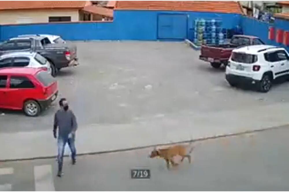 NEZGODA NA PEŠAČKOM PRELAZU: Sravnio ga sa zemljom, pa pobegao! (VIDEO)