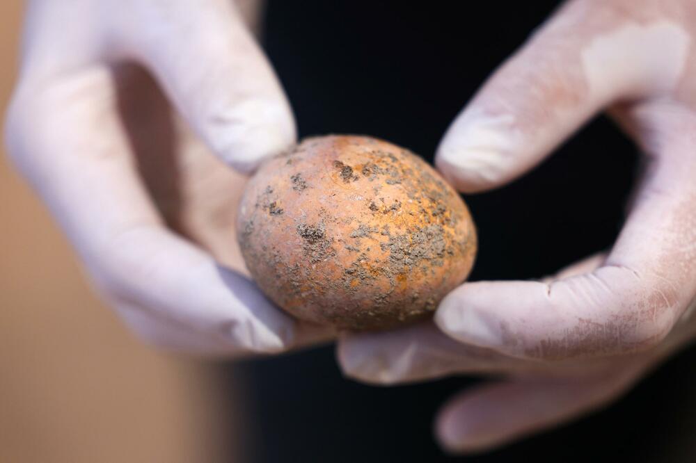 RETKO OTKRIĆE! OSTALO NETAKNUTO 1.000 GODINA: Pronađeno kokošje jaje u drevnoj septičkoj jami (FOTO)