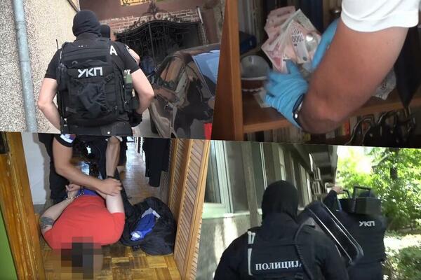 AKCIJA "GNEV"! Policija u Požegi otkrila zasad indijske konoplje sa 1.500 stabiljaka, uhapšeno dvoje