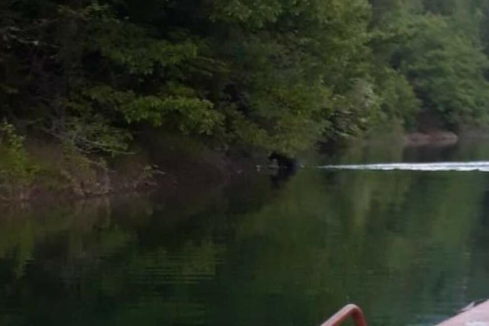 DETALJI TRAGEDIJE NA ZLATARSKOM JEZERU: Bojana je bila NEPLIVAČ, stradala nedaleko od mesta na kome je RADILA!