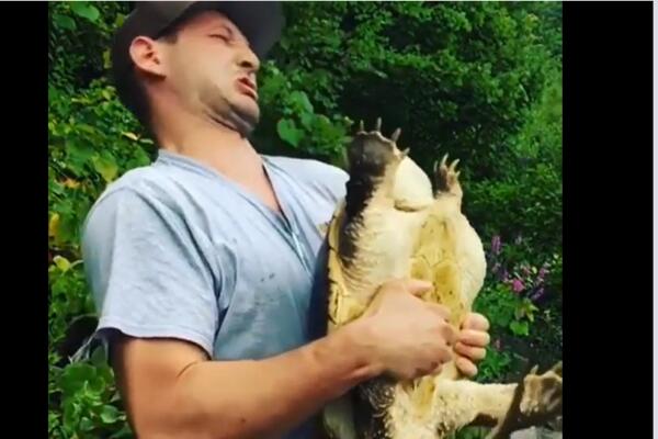 MALO VIŠE SE ZAIGRAO SA KORNJAČOM: Češkao je, želeo da je poljubi, pa prebrojao sve zvezde! (VIDEO)