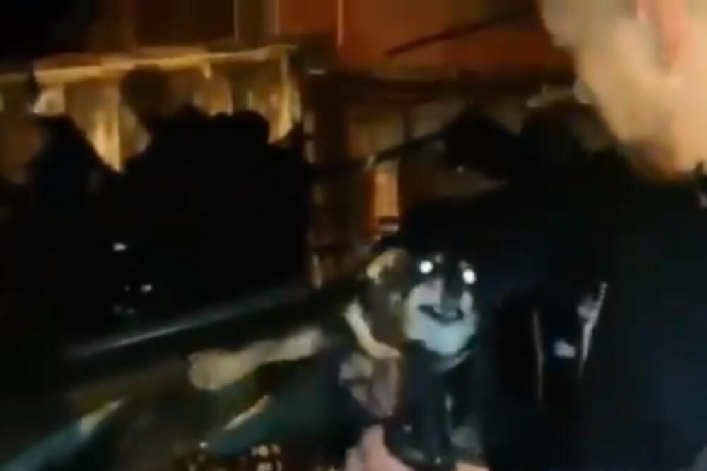 DRAMATIČNA NOĆNA AKCIJA KOD MLADENOVCA: Predraga kuca IZBAVLJENA iz užasnog brloga! (VIDEO)