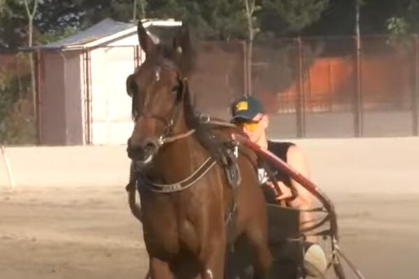 JOKIĆ DOŠAO U DOMOVINU: Pojavio se posle SVEGA ŠTO SE ODIGRALO! (VIDEO+FOTO)