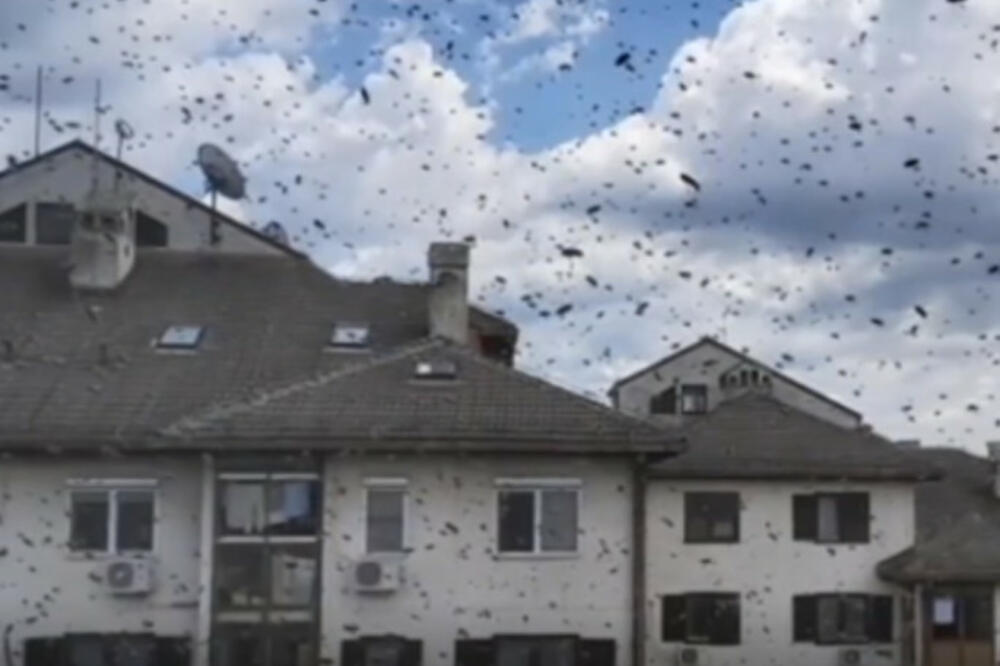 PANIKA NA BEŽANIJSKOJ KOSI! STANARI NE SMEJU DA OTVARAJU PROZORE: Sve službe koje su zvali kažu da nisu NADLEŽNE!