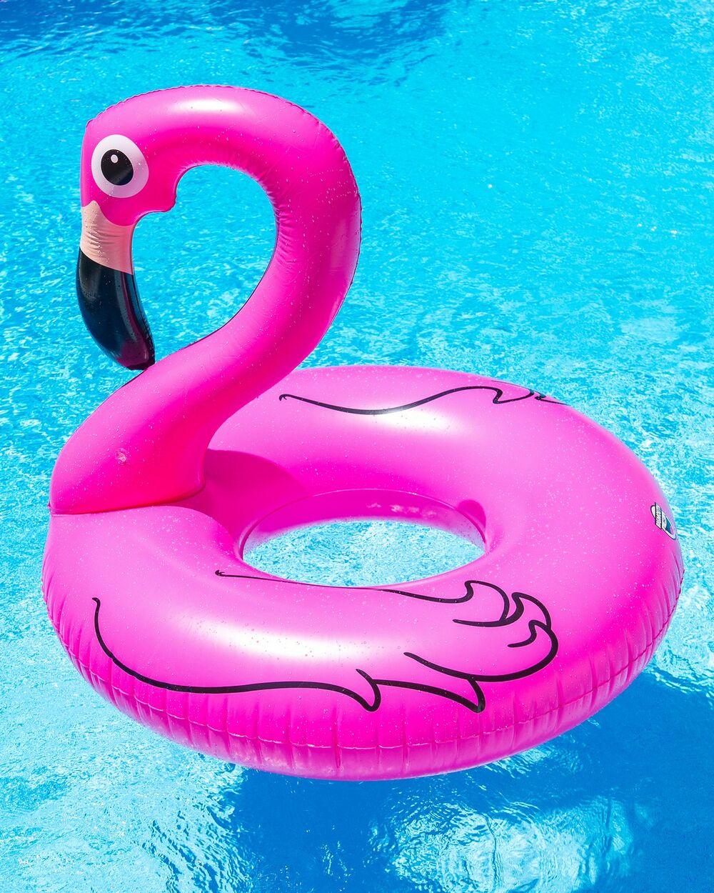 Flamingo, Guma