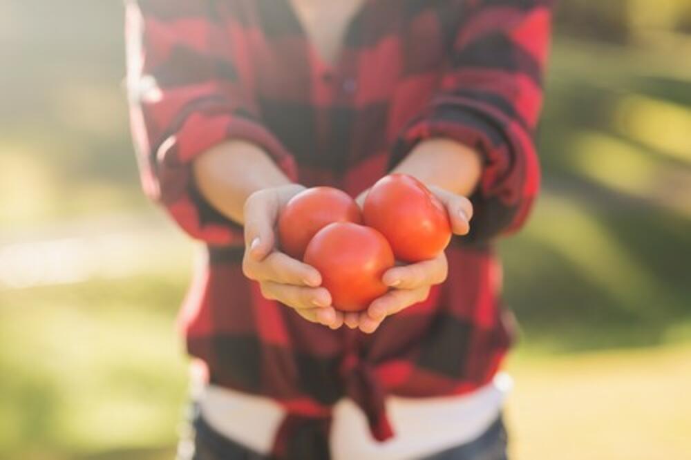 EVO ZAŠTO JE ČERI PARADAJZ JEFTINIJI OD OBIČNOG: Nezabeležena situacija na NAŠEM TRŽIŠTU!