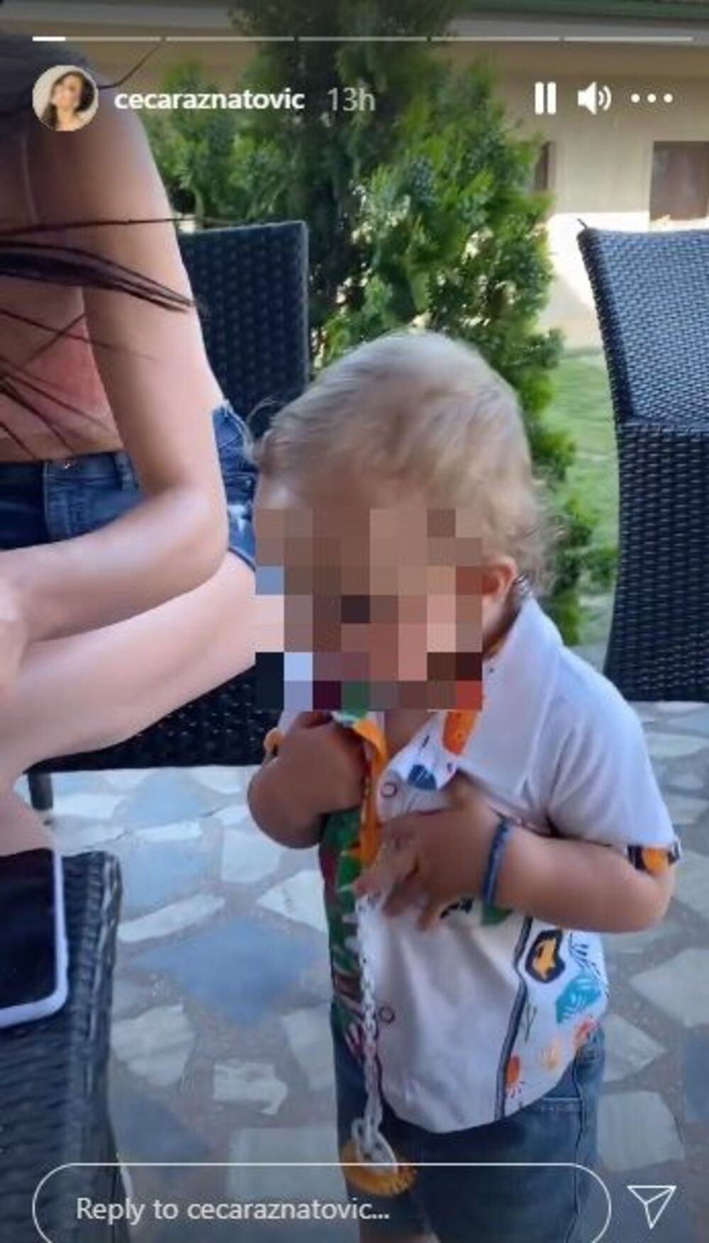 Ceca Ražnatović, bogdana Ražnatović