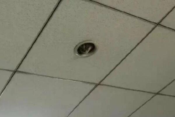 PORODICA 70 GODINA ŽIVELA U NEVEROVATNOJ OPASNOSTI: Otkrili STRAVIČNU stvar na plafonu stana!