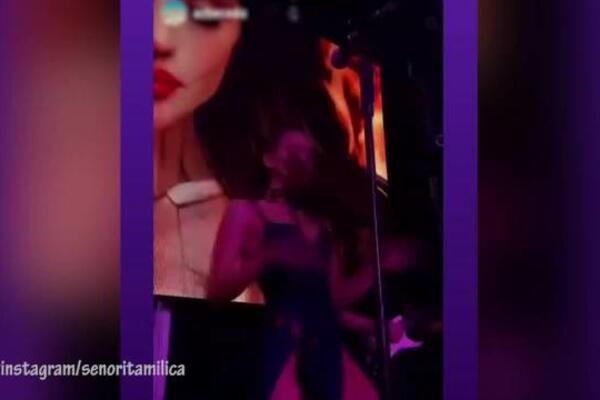 I GOLA DA SE SKINE, NEĆE IZGLEDATI JEFTINO! MILICA PAVLOVIĆ PROBUDILA MAŠTU PREDUBOKIM ŠLICEM: Ima li DONJI VEŠ!?