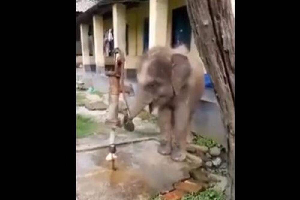 SLON NAUČIO DA PUMPA! Neverovatan snimak iz Indije, mališa je mnogo PAMETAN (VIDEO)