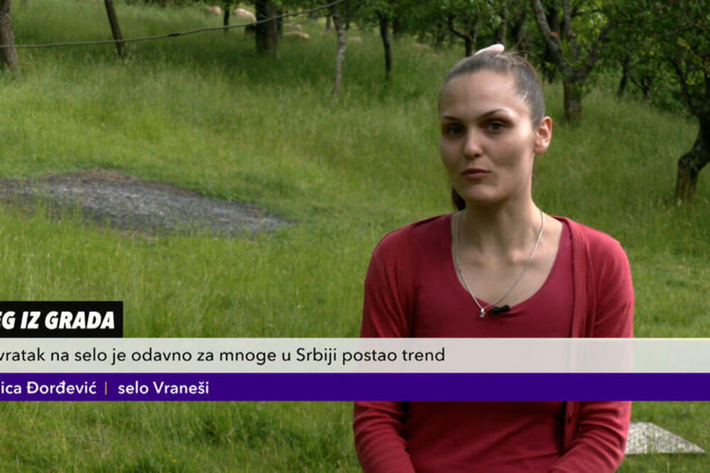 SVE VIŠE LJUDI U SRBIJI ODLAZI NA SELO DA GAJI OVCE! Sjajna šansa za dobru zaradu i zdraviji način života