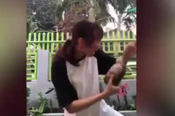 KORNJAČA UGRIZLA VLASNICU TOKOM SNIMANJA TIKTOK VIDEA: Devojka VRIŠTI, a ona ne PUŠTA! (VIDEO)