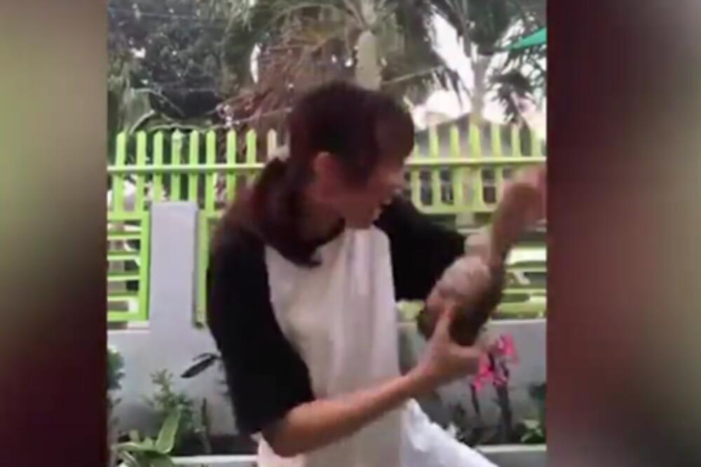 KORNJAČA UGRIZLA VLASNICU TOKOM SNIMANJA TIKTOK VIDEA: Devojka VRIŠTI, a ona ne PUŠTA! (VIDEO)