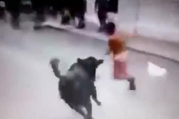 GOLAĆA JE PO ULICI JURIO RAZJARENI BIK: Kraj potere je bio KRVAV! (VIDEO)