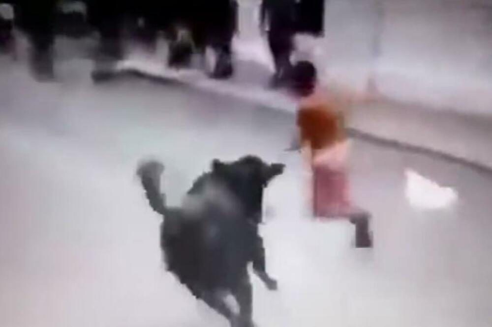 GOLAĆA JE PO ULICI JURIO RAZJARENI BIK: Kraj potere je bio KRVAV! (VIDEO)