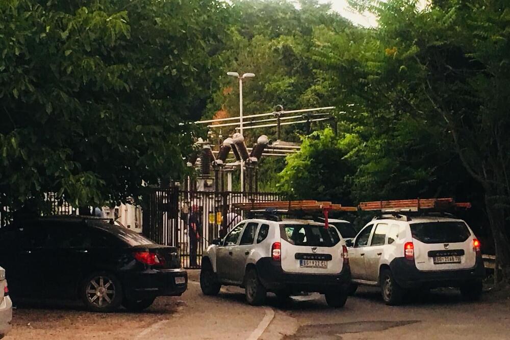 DA LI LIŠĆE ŠTETI AUTOMOBILU? Stručnjaci objasnili do DETALJA