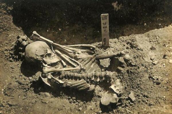 PRONAĐENA NAJSTARIJA LJUDSKA ŽRTVA AJKULE: Napad rekonstruisan, desio se pre 3000 GODINA! (FOTO)