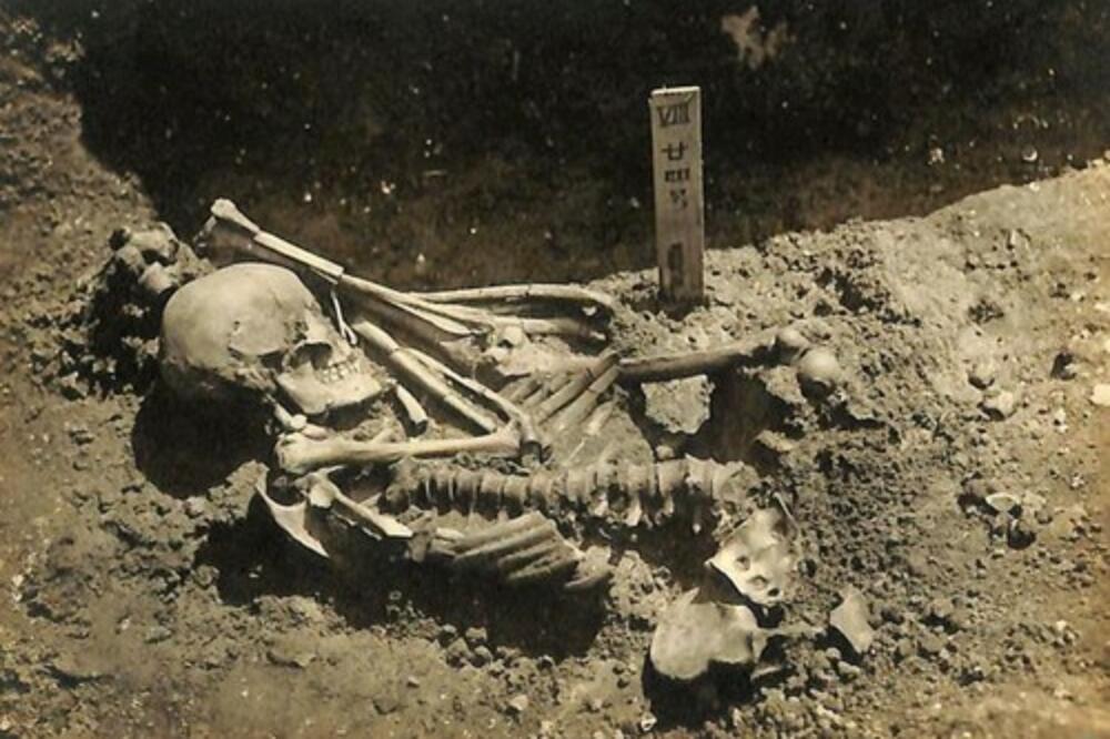 PRONAĐENA NAJSTARIJA LJUDSKA ŽRTVA AJKULE: Napad rekonstruisan, desio se pre 3000 GODINA! (FOTO)