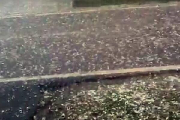 NEVREME I U HRVATSKOJ: Vetar čupao drveće, velika MATERIJALNA ŠTETA (VIDEO)