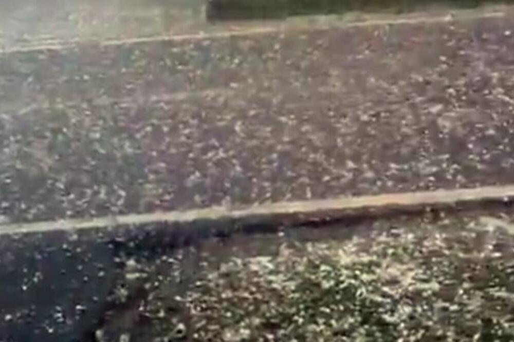 NEVREME I U HRVATSKOJ: Vetar čupao drveće, velika MATERIJALNA ŠTETA (VIDEO)