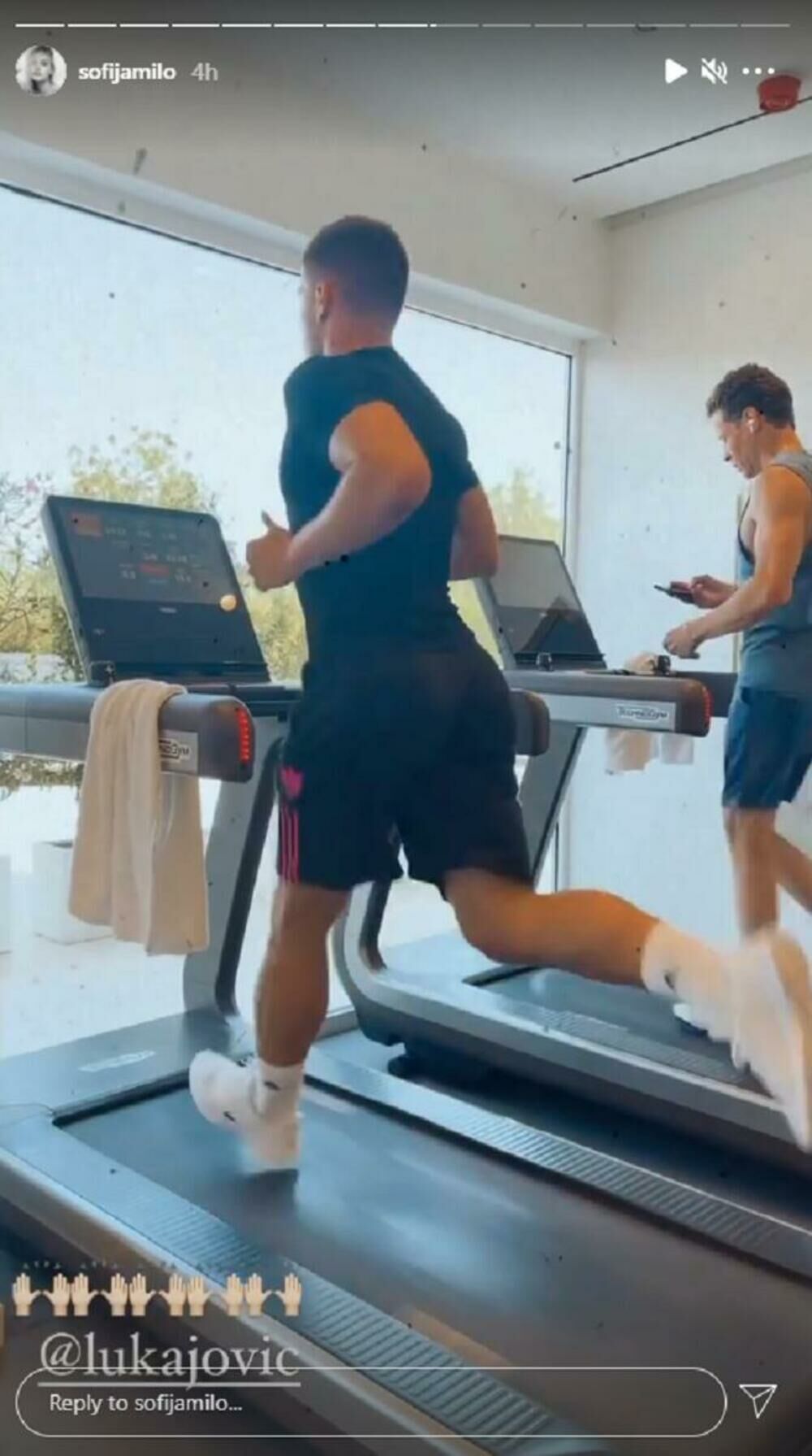 Sofija Milošević, Luka Jović