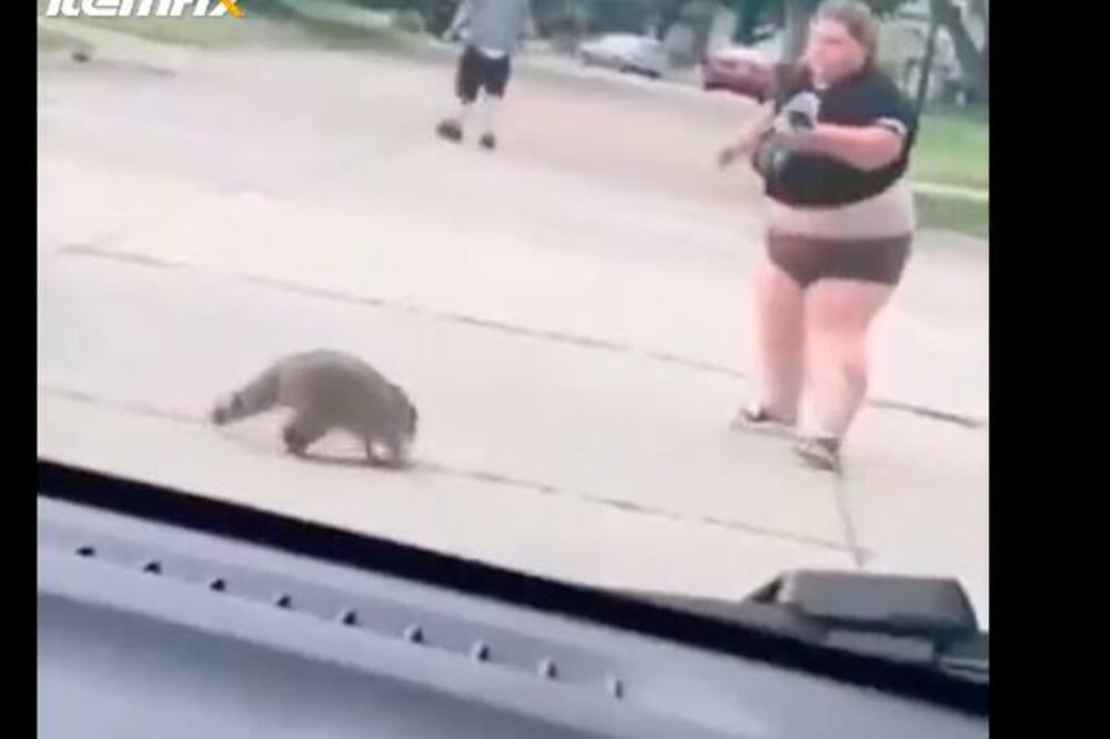 RAKUN NAPAO I POJURIO DEBELJUCU! Ovako je nastao jedan od najspektakularnijih snimaka godine! (VIDEO)