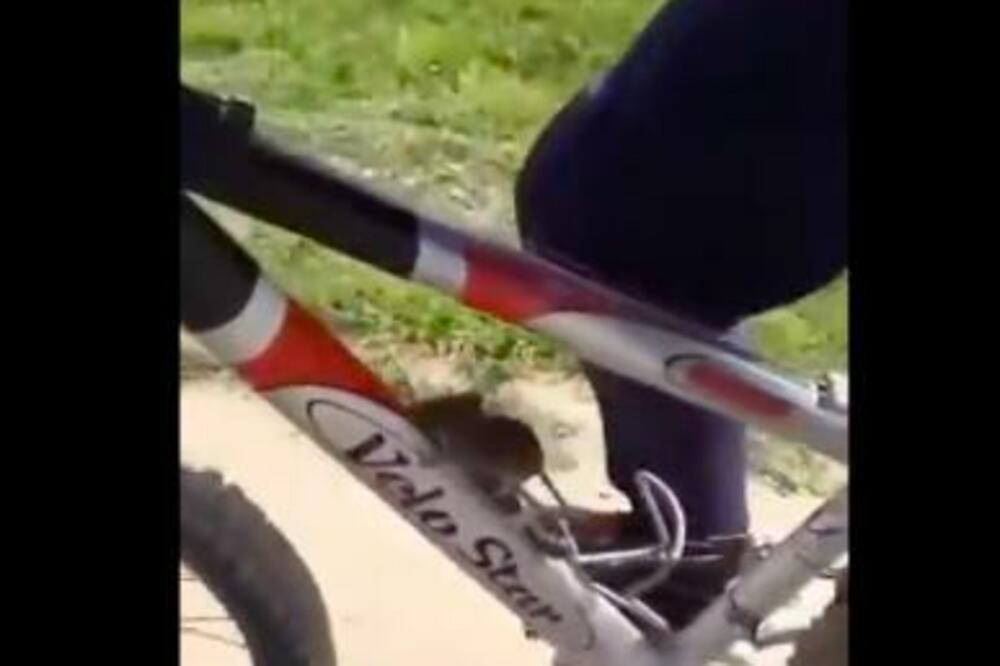 OVO JE NAJGENIJALNIJI MIŠ NA PLANETI: Pojurila ga je mačka da mu PRESUDI, on se snašao kao LEGENDA! (VIDEO)