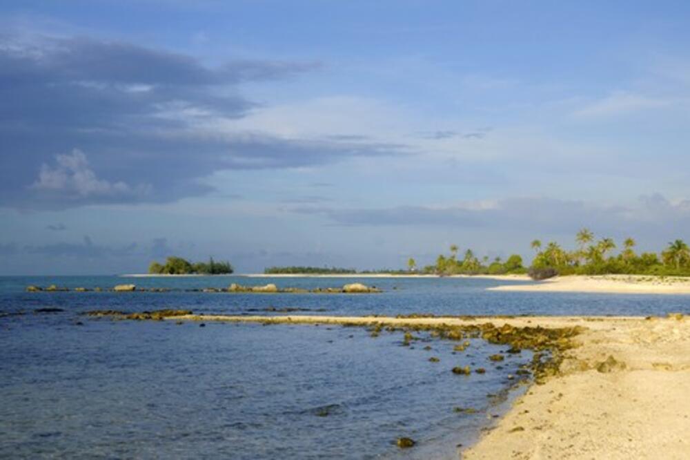 UGLEDALA SAM NJEGOVE VELIKE OČI KAKO VIRE IZ VODE: Onda me je ZGRABIO!