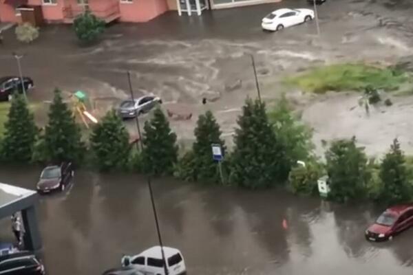 STRAŠNO NEVREME U BELORUSIJI: Žena poginula kada je drvo palo na nju