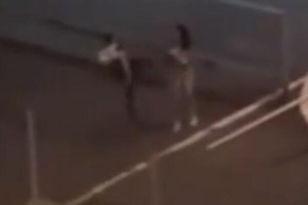 OVAKO SE BRANIO NASILNIK SA SNIMKA KOJI JE UZNEMIRIO SRBIJU! Šutnuo devojku, pa se "prao" BLJUVOTINAMA! SRAMI SE!