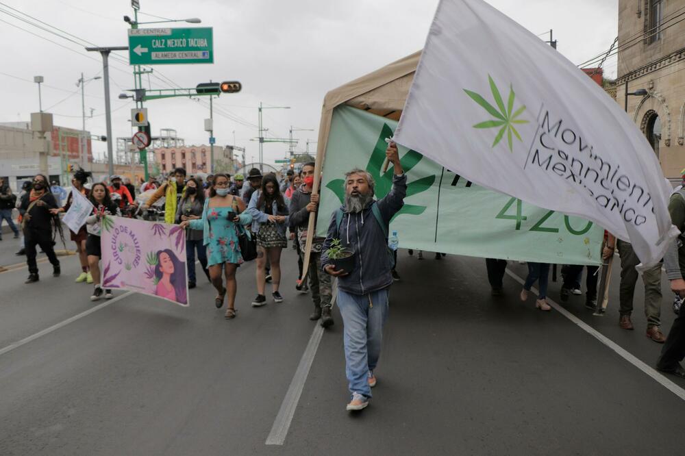 VRHOVNI SUD MEKSIKA DAO PREPORUKU VLADI I KONGRESU: Legalizovati konzumiranje MARIHUANE!