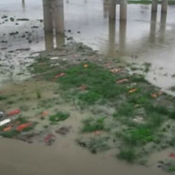 LEŠEVI TIHO PLUTAJU SVETOM REKOM INDIJE: Tela mrtvih od korone izronila iz grobova duž obale!(VIDEO)