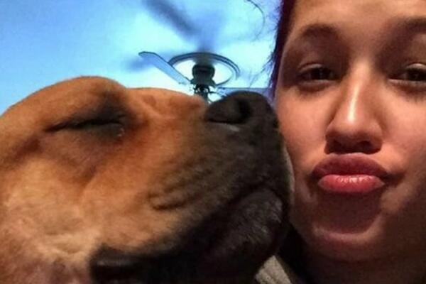 DOŠLA U AZIL ZA NAPUŠTENE ŽIVOTINJE KAKO BI UDOMILA PSA: Doživela iznenađenje života, ovo nije OČEKIVALA!