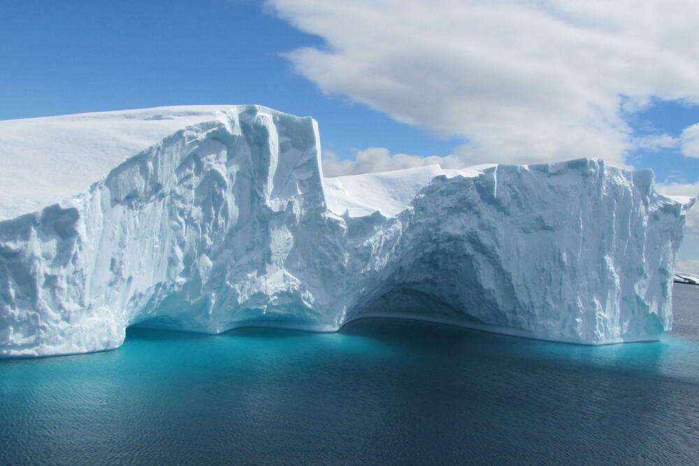 IMA 20 KRAKOVA PREKRIVENIH IZRASLINAMA, PODSEĆA NA VANZEMALJCA: U ledenim dubinama Antarktika otkrivena nova VRSTA