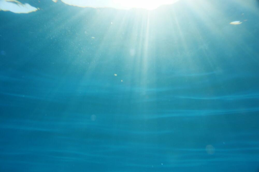 OVO ČUDO TERORIŠE KUPAČE NA JADRANU: Izaziva povrede koje teško zarastaju i jako BOLE, a ima IH SVUDA (VIDEO)