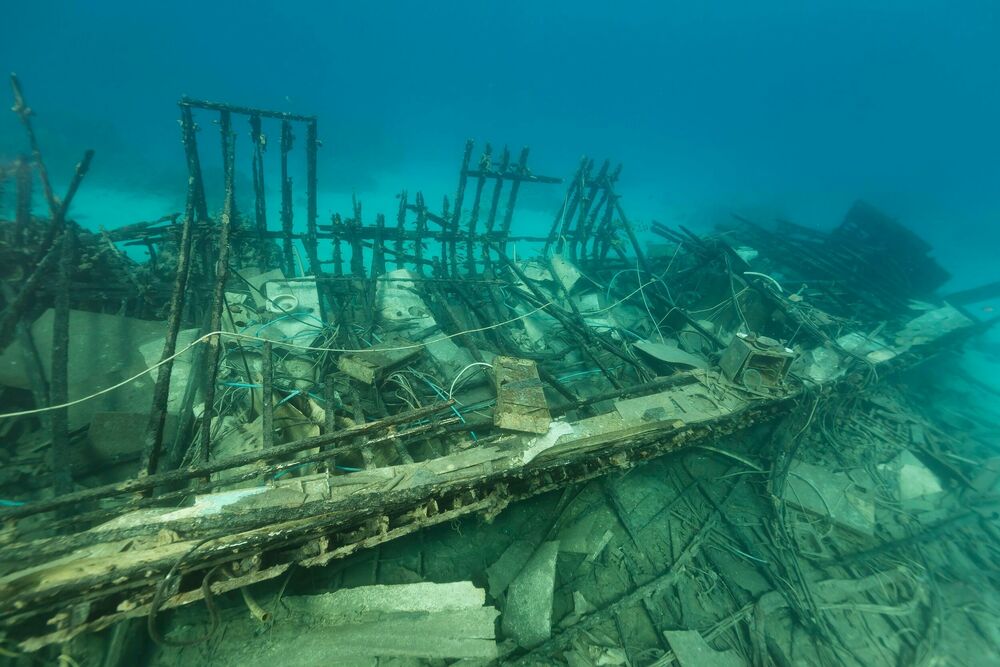 Okean, More, Ribe, Ronilac, Ajkula, Olupine