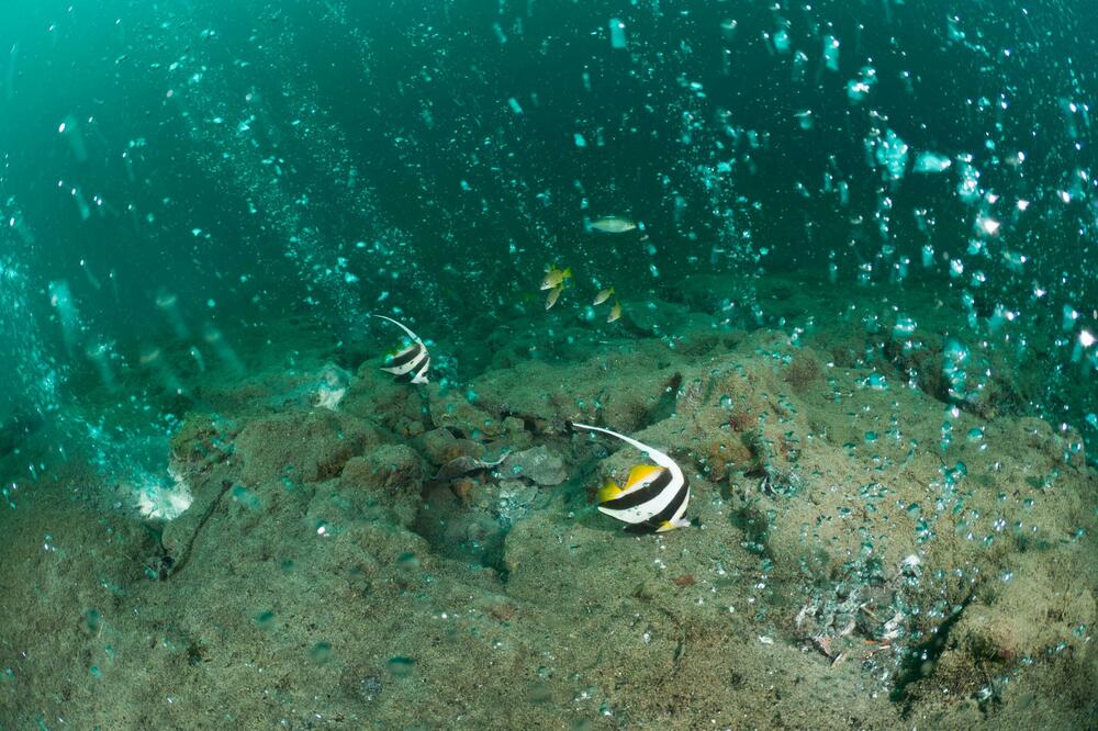 Nešto zlokobno se dešava ispod mora: Gomila se energija koja može da izazove opasan TALAS, naučnici upozoravaju!