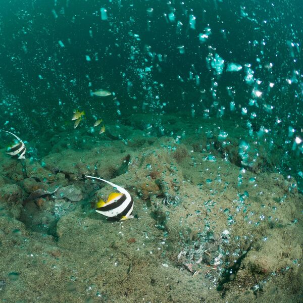 Nešto zlokobno se dešava ispod mora: Gomila se energija koja može da izazove opasan TALAS, naučnici upozoravaju!