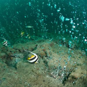 Nešto zlokobno se dešava ispod mora: Gomila se energija koja može da izazove opasan TALAS, naučnici upozoravaju!