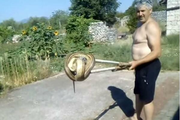 DOBRO JOJ SRCE NIJE STALO! Žena krenula da pravi doručak, kad ono... ksss, ksss, u sudoperi ZMIJA (VIDEO)