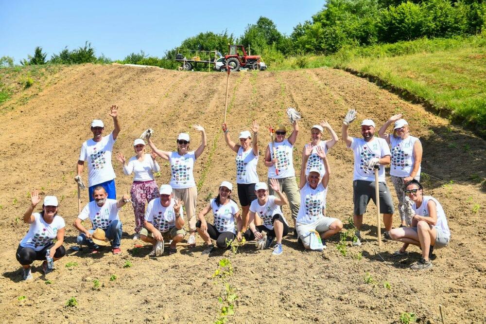 Volonteri kompanije NIS posadili povrće u bašti namenjenoj Superherojima iz NURDOR Roditeljskih kuća
